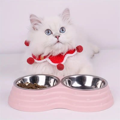 gamelle-chat-double-couleur-rose