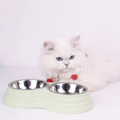 gamelle-chat-double-couleur-verte