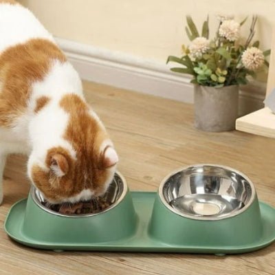 gamelle-chat-double-miaoumiam