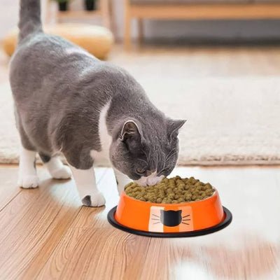 gamelle-chat-purbol-ergnomique