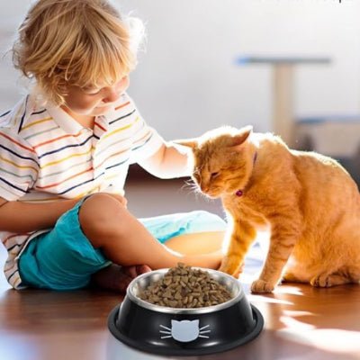 gamelle-chat-purbol-utile