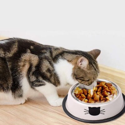 gamelle-chat-purbol-design