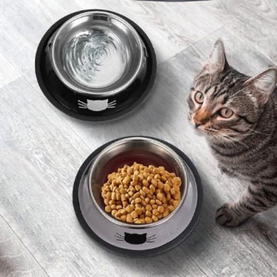 gamelle-chat-purbol-efficce