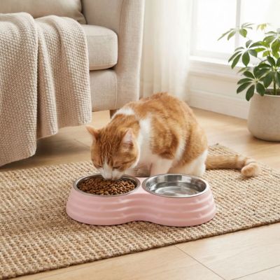Gamelle chat en inox | Anti-Régurgitation