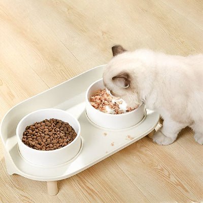 gamelle-chat-surélevée-fonctionnelle-chatforme