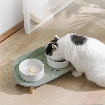 gamelle-chat-surélevée-verte-chatforme