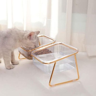 gamelle-chat-surélevée-chicpattes-transparent