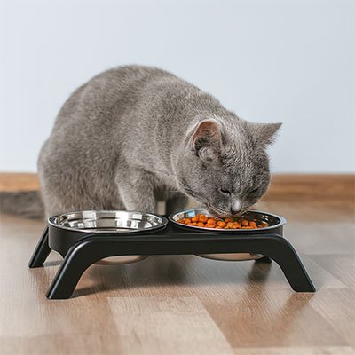 gamelle-chat-surélevée-en-inox-avec-support-plastique