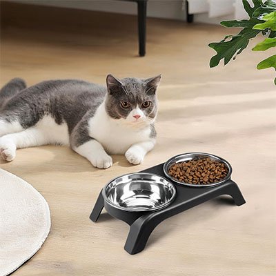gamelle-chat-surélevée-en-inox-facile-a-nettoyer