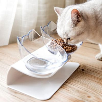 gamelle-chat-surélevée-equilicat-transparente