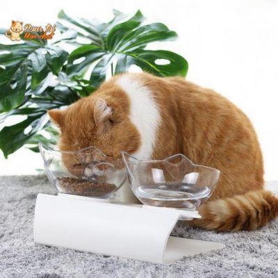 gamelle-chat-surélevée-equilicat