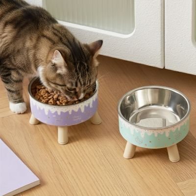 gamelle-chat-surélevée-ergonomique-hygiénique