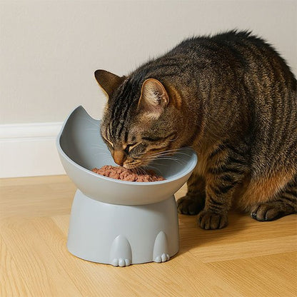 gamelle-chat-surélevée-ergonomique-individuelle
