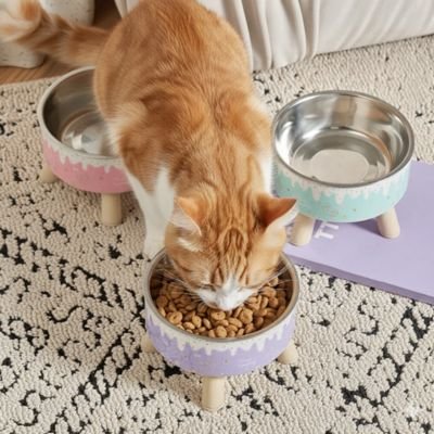 gamelle-chat-surélevée-ergonomique-pour-croquettes-et-eau