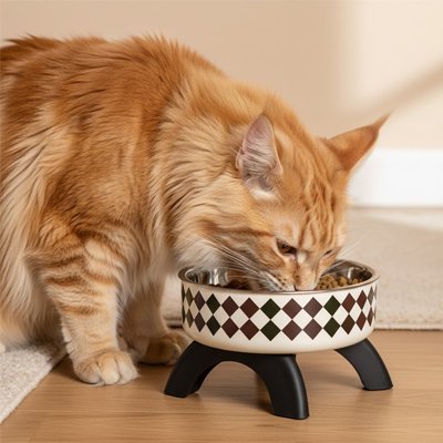 gamelle-chat-surélevée-ergonomique