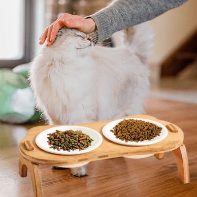 gamelle-chat-surelevee-desing-nekoh