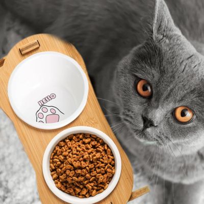 gamelle-chat-surélevée-hello