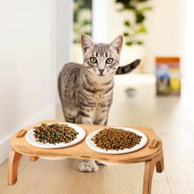 gamelle-chat-surélevée-nekoh-double