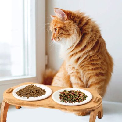 gamelle-chat-surélevée-nekoh-moderne