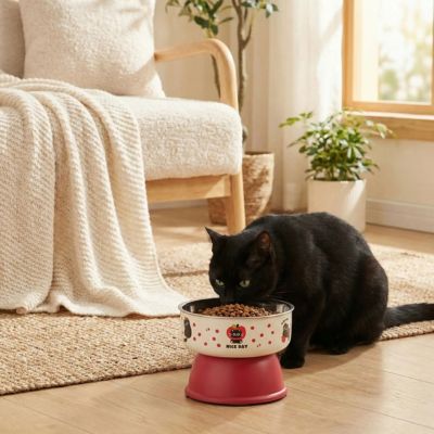 Gamelle chat surélevée | ComfortElegance