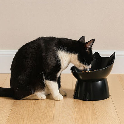 gamelle-chat-surélevée-style-moderne