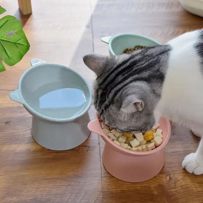 gamelle-pour-chat-bolyx-multifonction