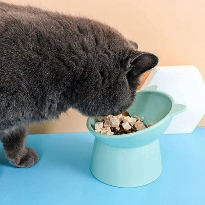 gamelle-pour-chat-bolyx-ingénieux
