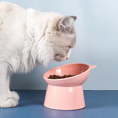 gamelle-pour-chat-bolyx-intelligent
