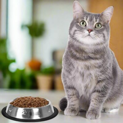 gamelle-pour-chat-ironcat-pratique