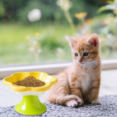 gamelle-pour-chat-utile-petalbol