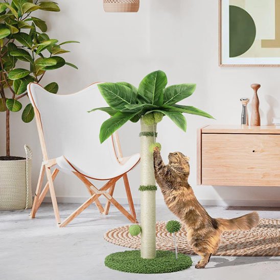 griffoir-chat-arbre-amusant