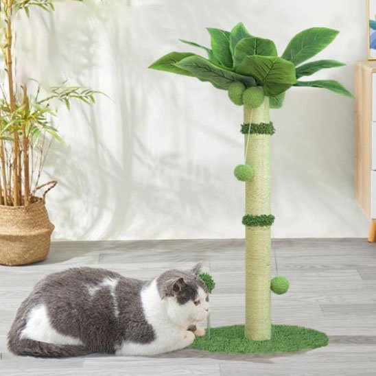 griffoir-chat-arbre-palmier