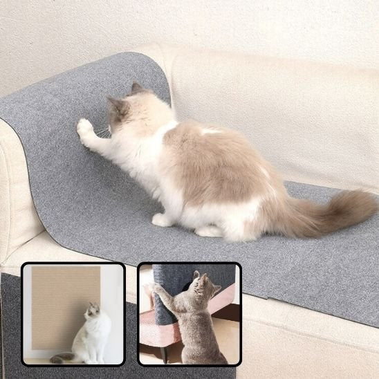 griffoir-chat-auto-collant-haute-durabilité