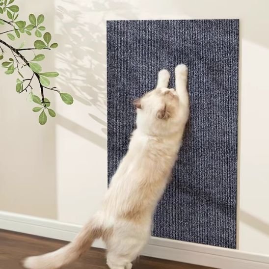 griffoir-chat-auto-collant-modulable