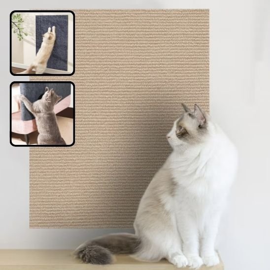 griffoir-chat-auto-collant-qualité-supérieur