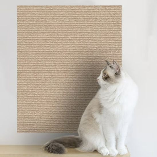 griffoir-chat-auto-collant-stable