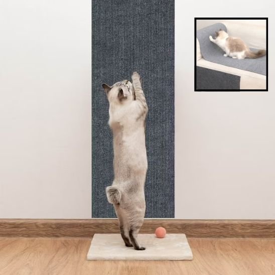 griffoir-chat-auto-collant-tissus-résistant