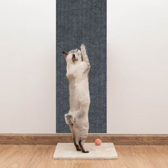 griffoir-chat-auto-collant