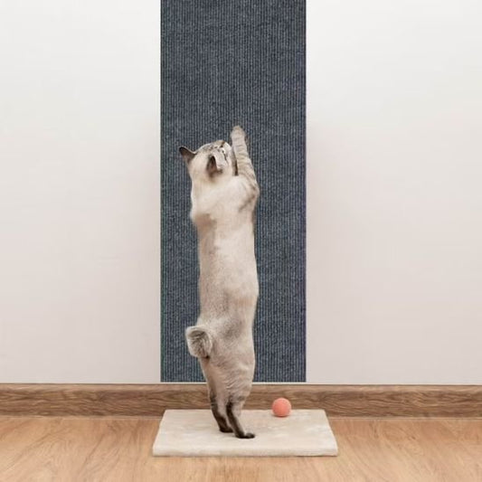 griffoir-chat-auto-collant