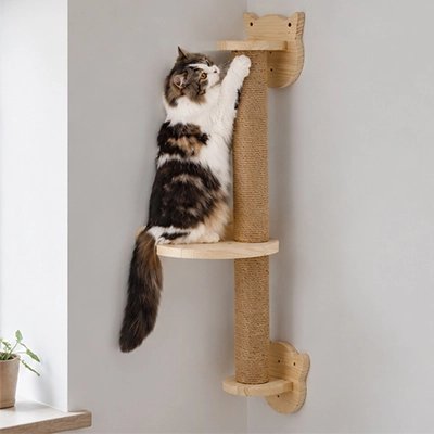 griffoir-chat-barre-en-bois-à-fixer-double