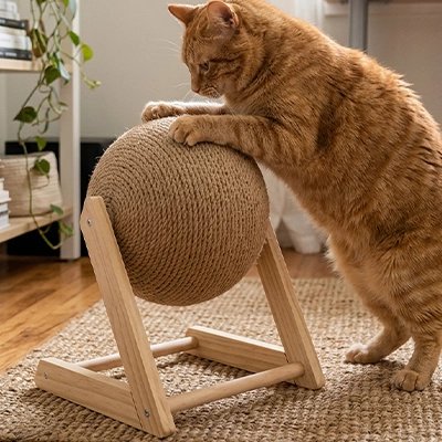 griffoir-chat-boule-amusante-orbite