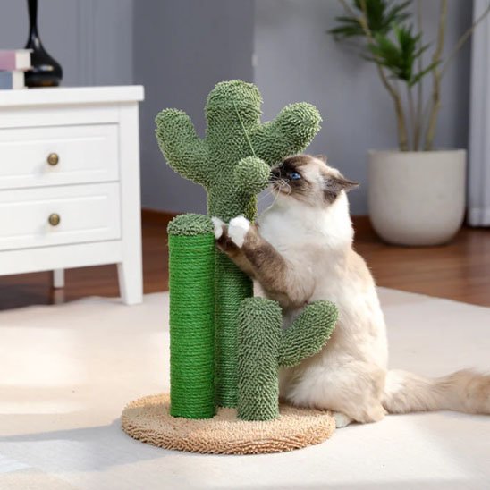 griffoir-chat-cactus-vert-amusant