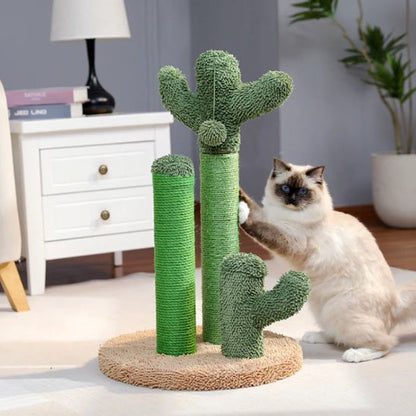 griffoir-chat-cactus-vert-pratique