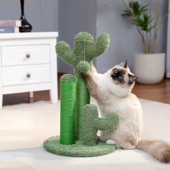 griffoir-chat-cactus-vert-résistant