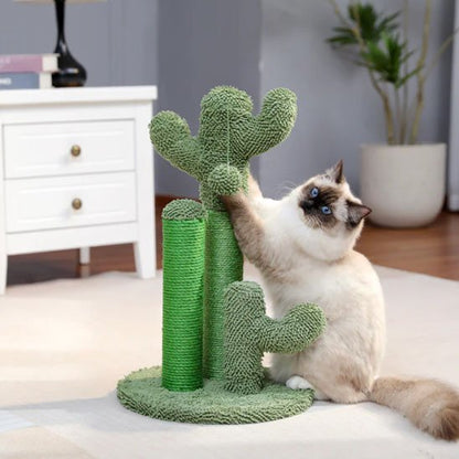 griffoir-chat-cactus-vert-résistant