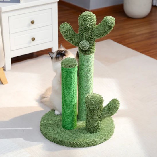 griffoir-chat-cactus-vert-solide