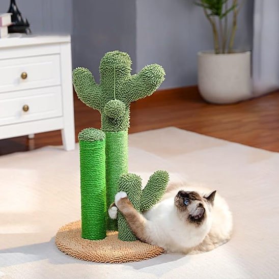 griffoir-chat-cactus-vert