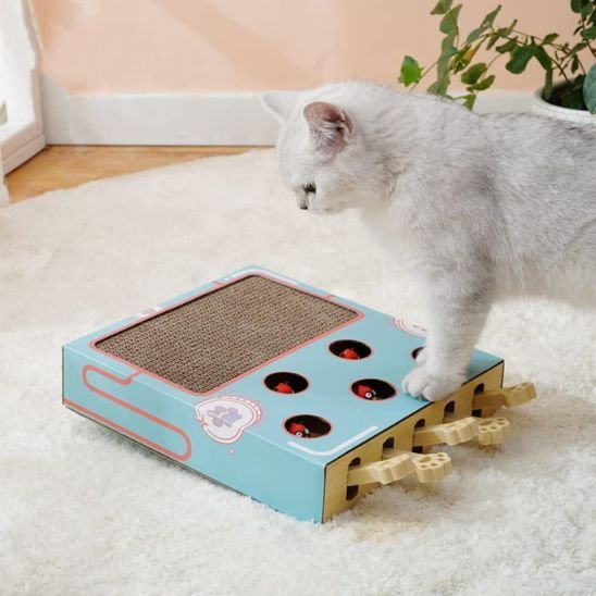 griffoir-chat-en-carton-avec-jouet-amusant