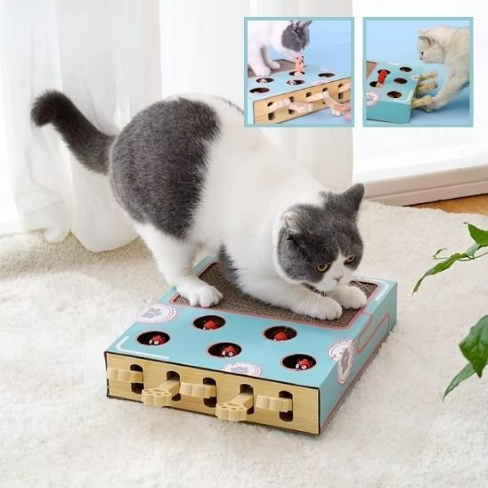 griffoir-chat-en-carton-avec-jouet-anti-ennui