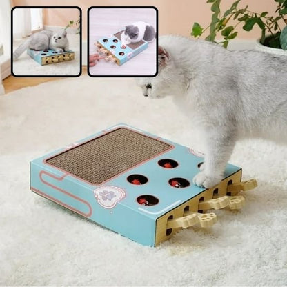 griffoir-chat-en-carton-avec-jouet-drôle